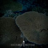 Portada para "Misty Road"