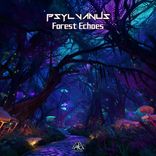Artwork for "Forest Echoes"