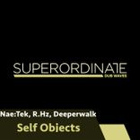 Portada para "Self Objects"