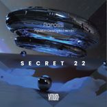 Artwork for "Secret 22 (Agustin Delsoglio Remix)"