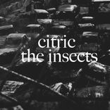 Artwork for "The insects"