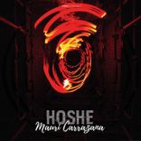 Artwork for "Hoshe"