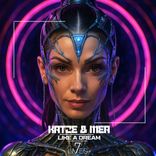 Artwork for "Like a Dream"