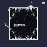 Portada para "Bicameral"