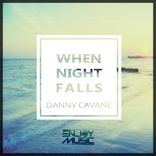 Artwork for "When Night Falls"