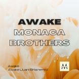 Portada para "Awake"