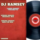 Artwork für "Spring Groove"