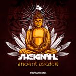 This Is the Way to Save the World