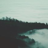 Artwork for "Motionless"