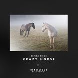 Artwork for "Crazy Horse"
