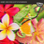 How 2 Find Luv (Fuck It Up Sideways)