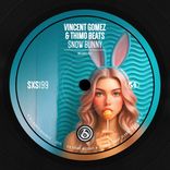 Artwork for "Snow Bunny"