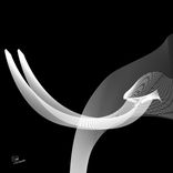 Artwork für "Mamute"