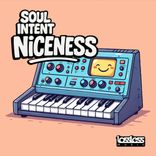 Artwork for "Niceness"