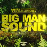 Artwork for "Big Man Sound"