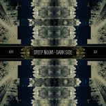 Artwork for "Darkside"