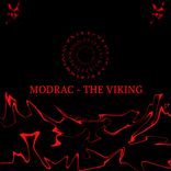 Artwork voor "The VIKING"