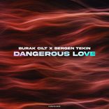 Artwork für "Dangerous Love"