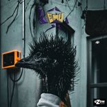 Emu