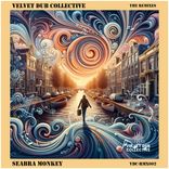 Artwork voor "The Remixes feat. Seabra Monkey"