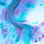 A Swan in the Waterfall