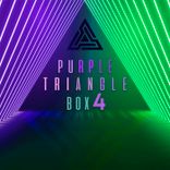 Portada para "Purple Triangle Box 4"