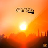 Artwork für "The Other Life"