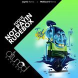 Artwork for "Not Payin / Rudebox"