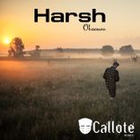 Artwork for "Harsh"