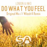 Artwork voor "Do What You Feel"