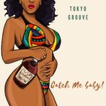 Artwork voor "Catch Me Lady!"