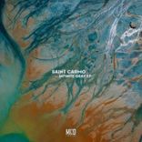 Portada para "Infinite Gray"