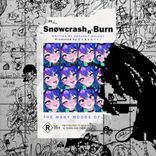 Artwork voor "SNØWCR4SH N' BURN"