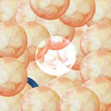 Artwork voor "Jungle Excess"