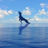 Artwork for "Skyline"