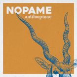 Artwork for "Anteloopinae"