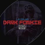 Artwork voor "Dark Fonkie"