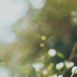 Artwork for "Season Change"