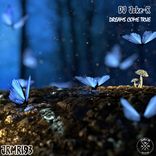 Artwork for "Dreams Come True"