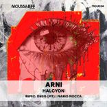 Artwork for "Halcyon"