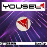 Artwork voor "Crazy Trip"