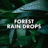 Artwork for "Forest Rain Drops"