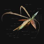 Portada para "You Are Part Of My Life - EP 2"