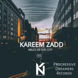 Artwork for "Kareem Zadd"