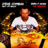 Artwork voor "Burn It Down"