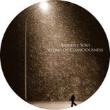 Artwork for "Atoms of Consciousness"