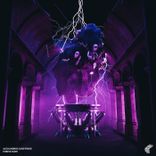 Artwork voor "Purple Rave"