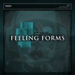 Artwork for "Feeling Forms"