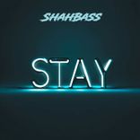 Artwork für "Stay"