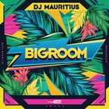 Artwork for "Bigroom"